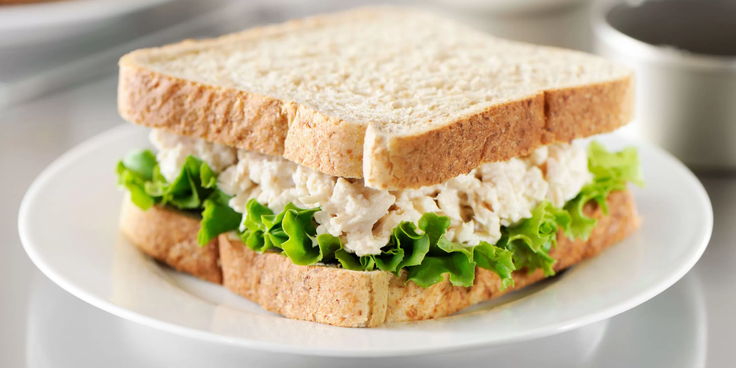 Healthy Sandwich Recipes for Busy Days 1 Healthy Sandwich Recipes