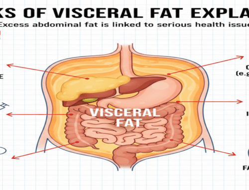 Risks of Visceral Fat Explained